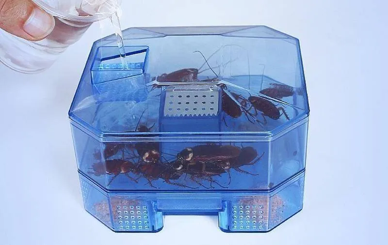 Efficient Cockroach Trap